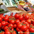 Beautiful vine tomatoes
